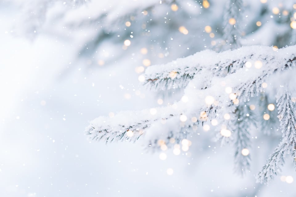 Aumentan las posibilidades de una Navidad blanca en EE. UU. featured image