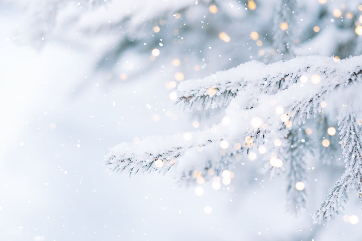 Aumentan las posibilidades de una Navidad blanca en EE. UU.