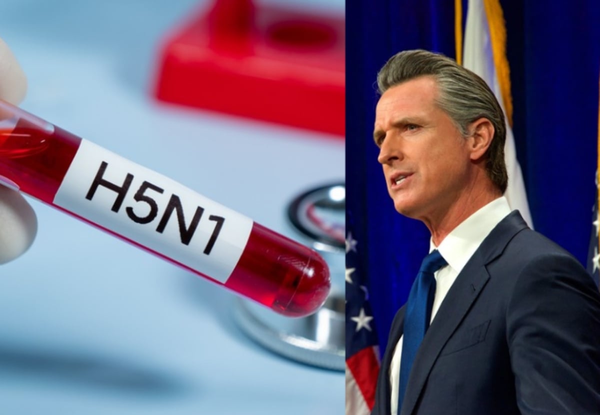 California gripe aviar, California, Gavi Newson, alerta, MundoNOW