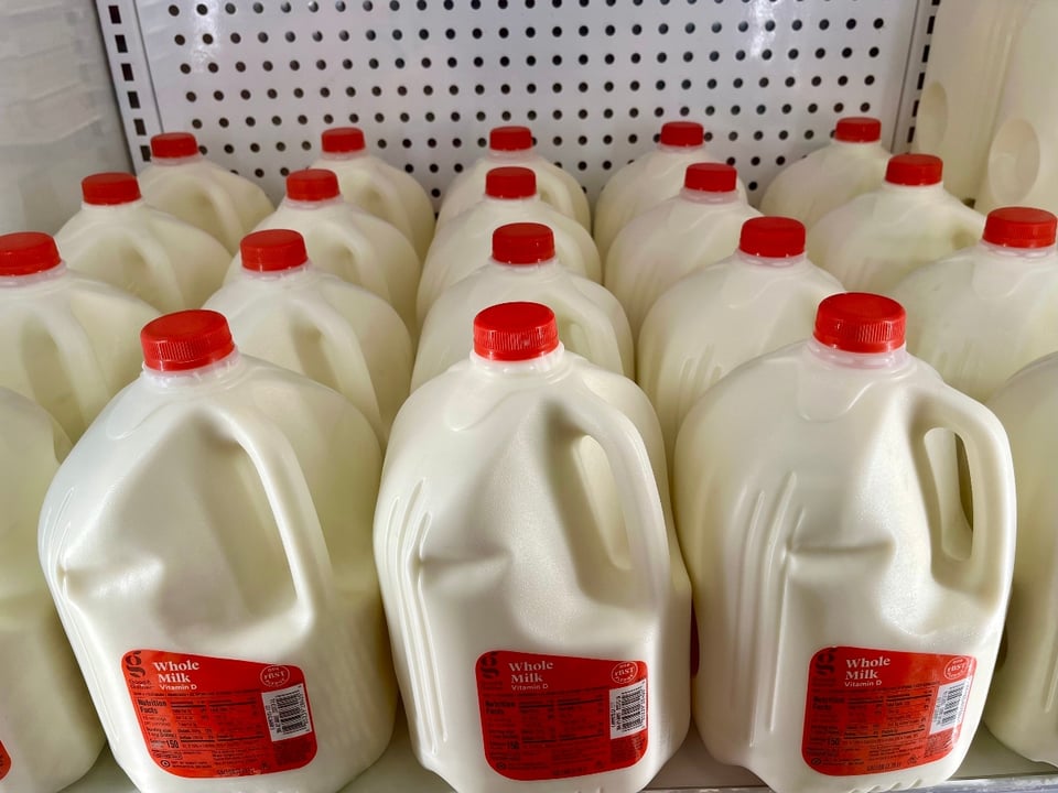 Ordenan analizar muestras de leche de todo EEUU para detectar focos de gripe aviar