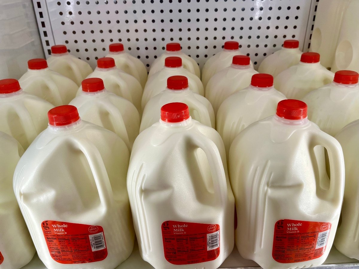 Milk samples from all over the US ordered to be analyzed to detect bird flu