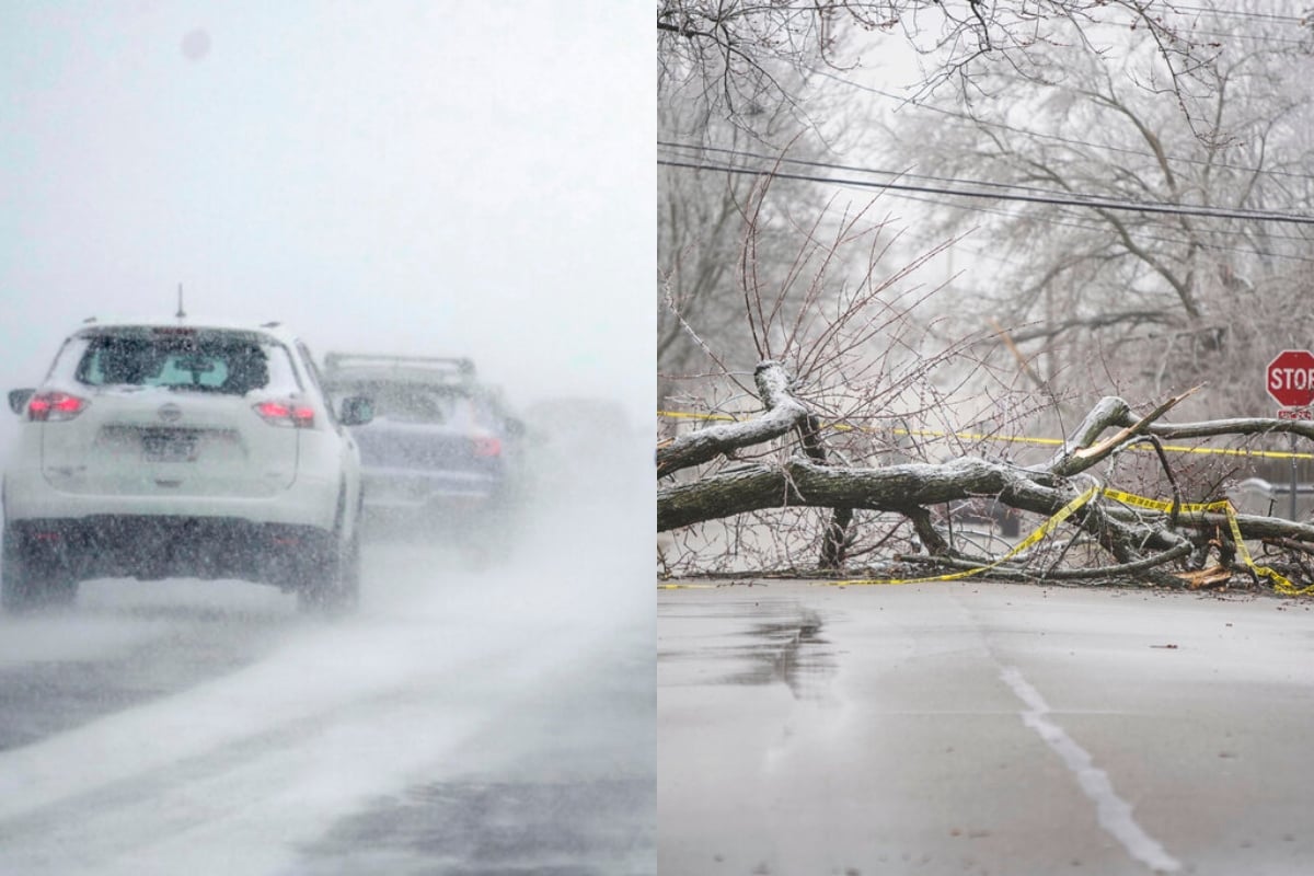 Tormenta invernal en Washington, Noticia, Nieve, Impacto, EEUU