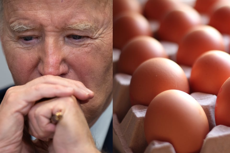 La Casa Blanca responsabiliza a Biden de la escasez de huevos