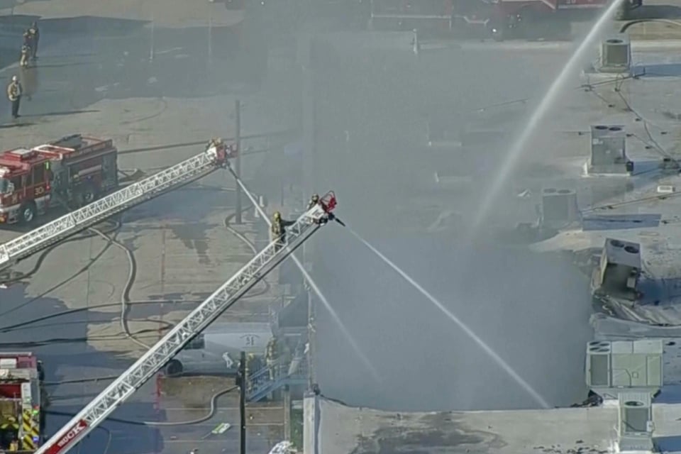 Incendio en un centro comercial mata a cientos de animales