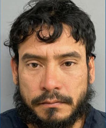 Nelson, morales, ice, detenido, deportación