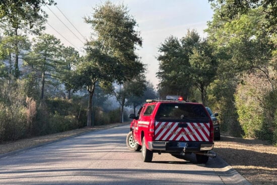 Carolina del Sur en emergencia por incendios forestales