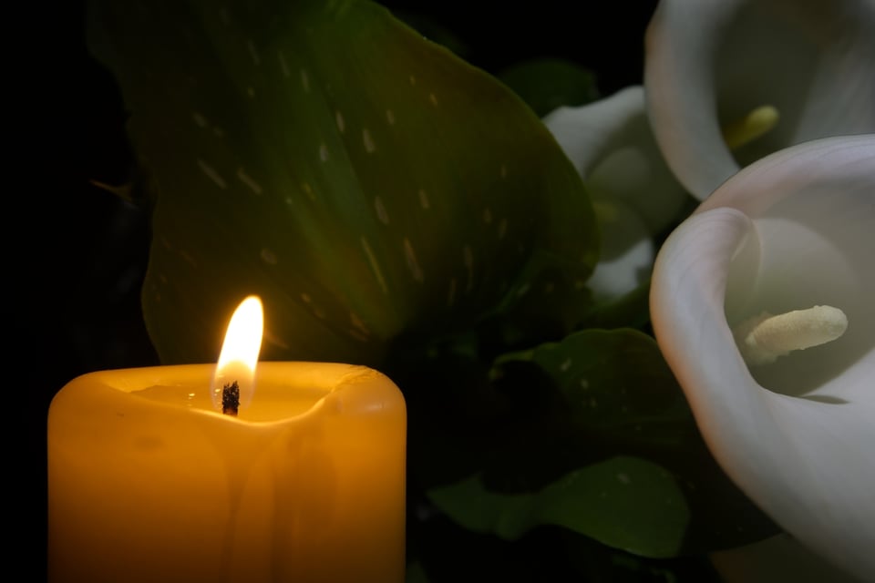 Fallece el ‘youtuber’ P2istheName a los 26 años featured image