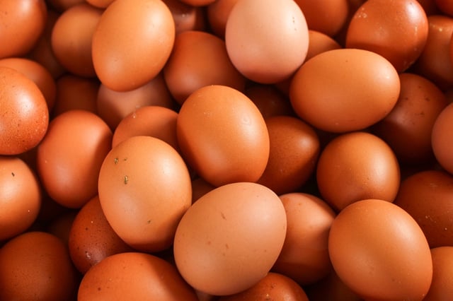 Increase in Egg Smuggling from Canada to the United States