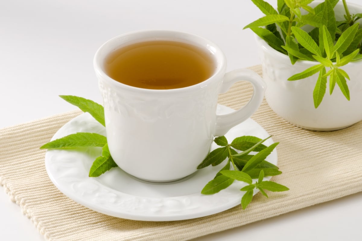 Té de cedrón puede prevenir enfermedades, Consejo, Salud, Remedio, Noticia