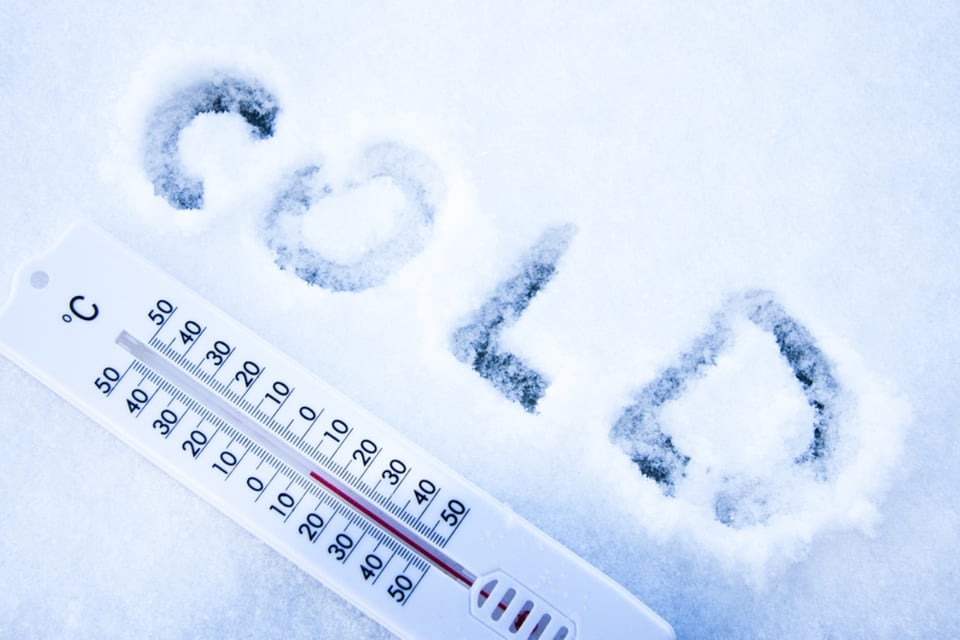 Advertencias de heladas afectan a millones en EEUU mientras temperaturas caen a -6 °C
