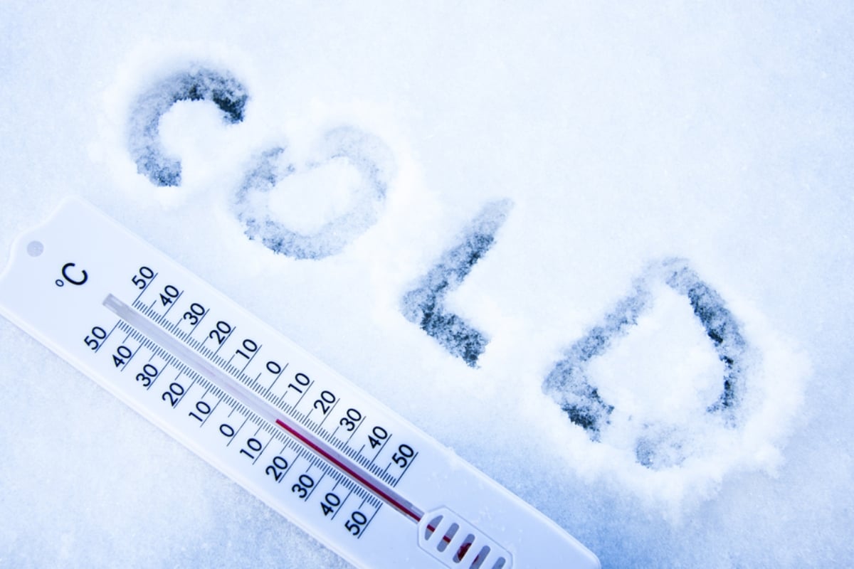 Advertencias de heladas afectan a millones en EEUU mientras temperaturas caen a -6 °C