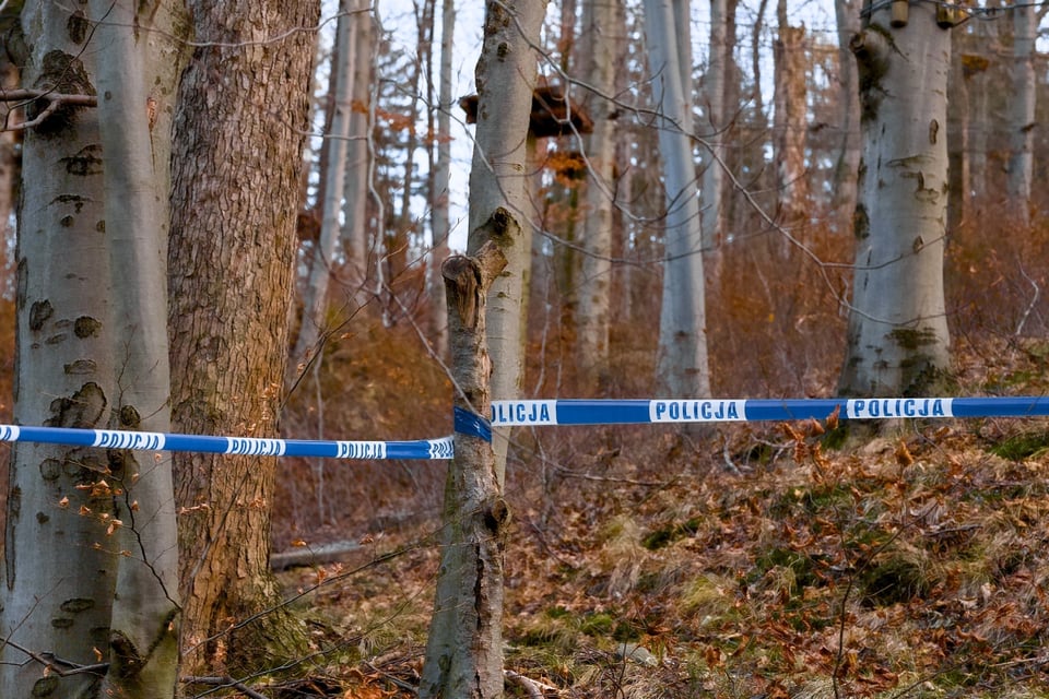 Migrante guatemalteco pasa ocho horas en un árbol para evitar a ICE, pero es arrestado en Texas