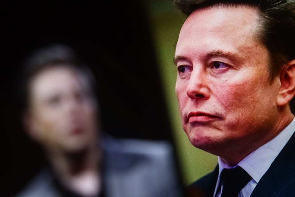 Elon Musk, Government, Doge Mundonow