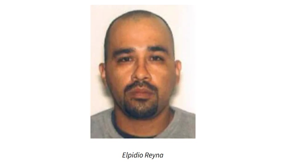 protestas, captura, arresto, california, ice