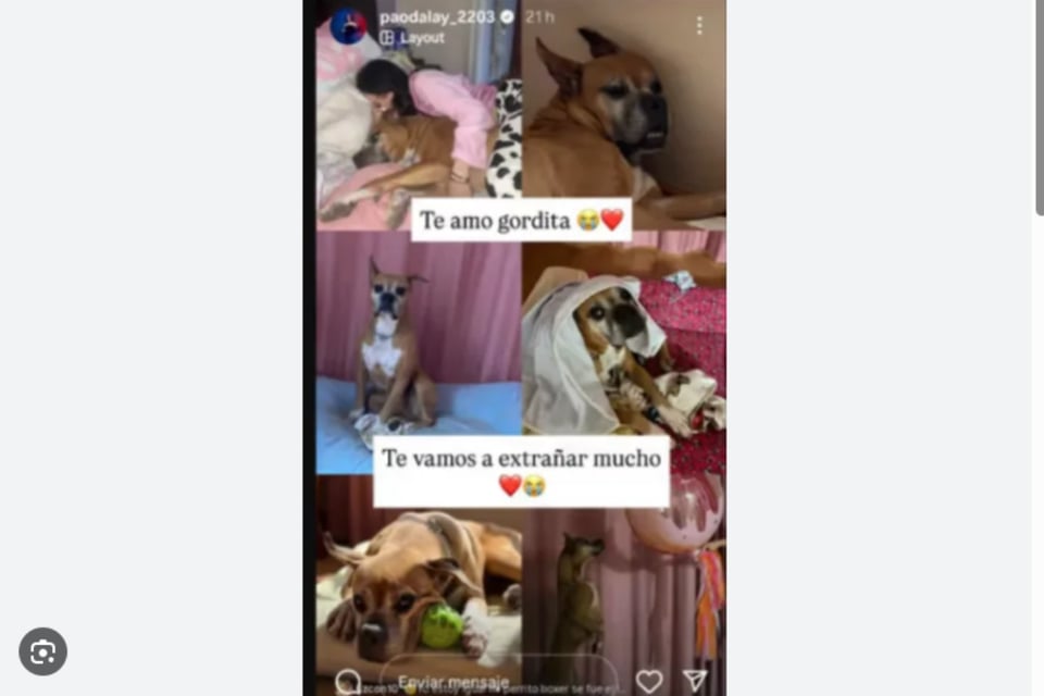 Paola Dalay, José Eduardo Derbez, mascota MundoNOW