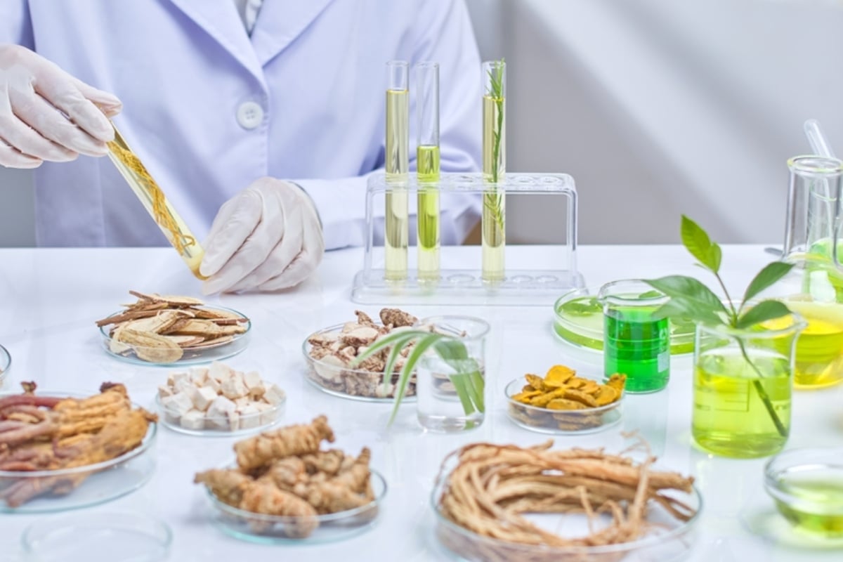 Hierbas medicinales mejoran digestión según estudios