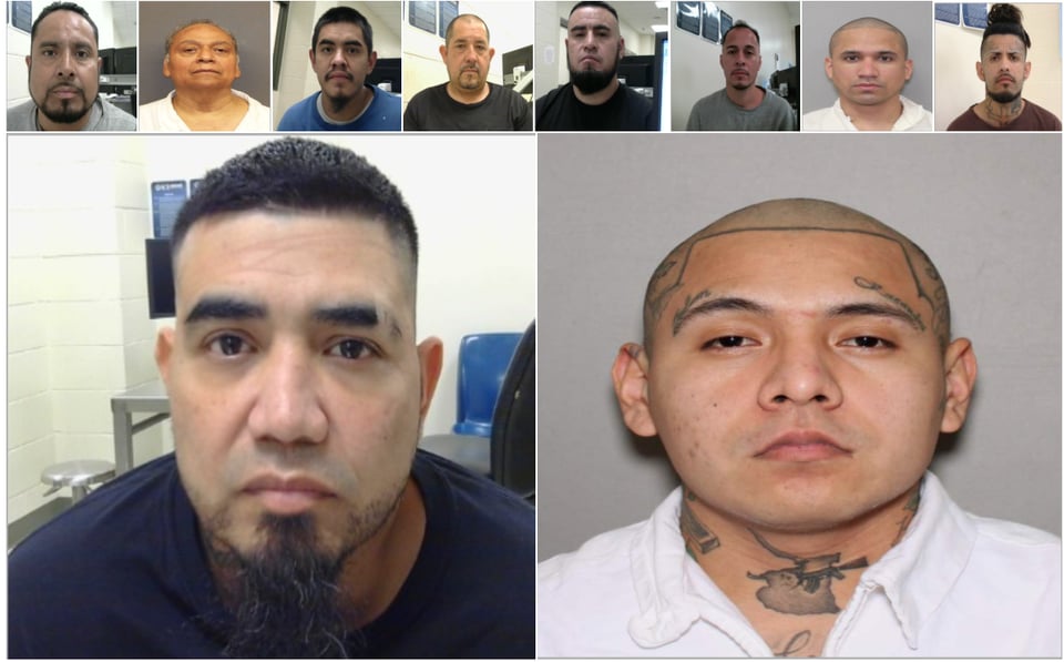 ICE, DELITOS, CRIMINALES, DETENIDOS, OPERATIVO 