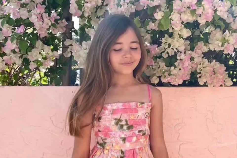 Ataque de tiburón en Florida deja herida a una niña de 9 años