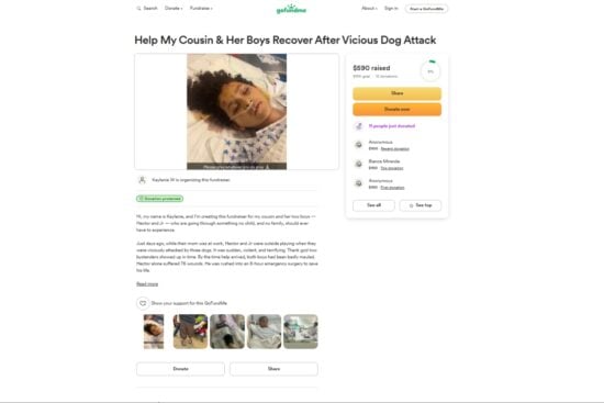 perros, niños, gofundme, tragedia,