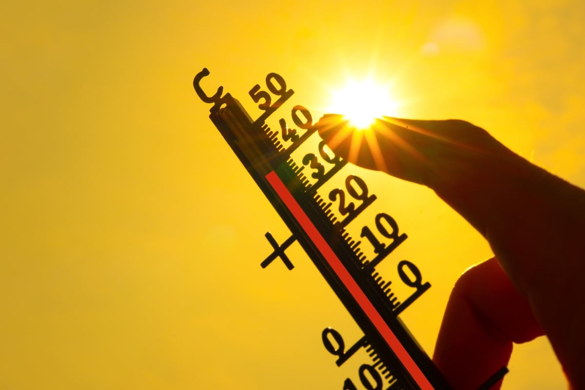Ola de calor, Estados Unidos, Clima, Autoridades, salud, energía