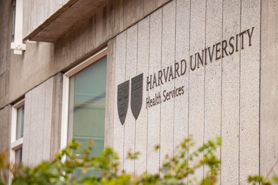Trump prohíbe la entrada de estudiantes extranjeros a Harvard featured image