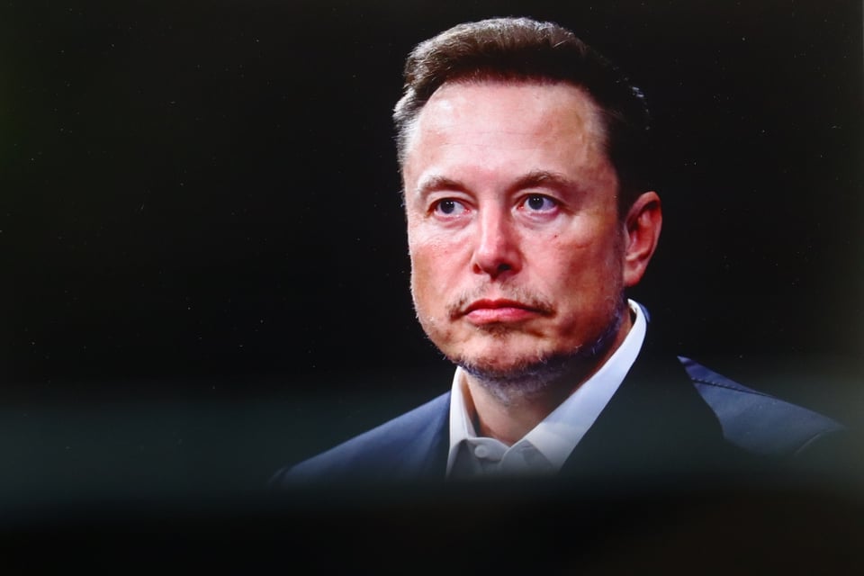 Elon Musk: «DOGE Was the Scapegoat for the Cuts»