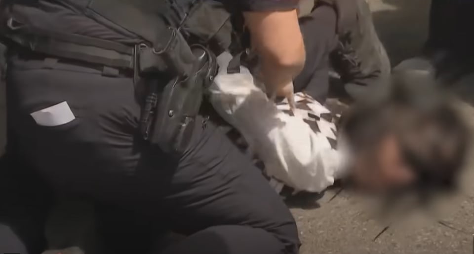 ice, operativo, Worcester, madre, captura