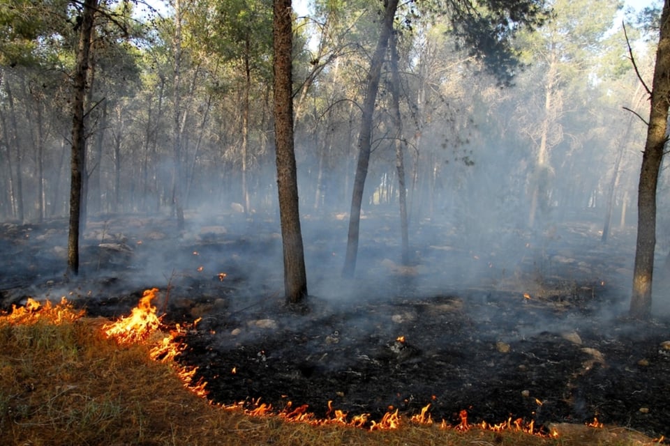 El incendio Garnet en California provoca aire peligroso, Garnet Fire Causes Dangerous Air in California and Nevada