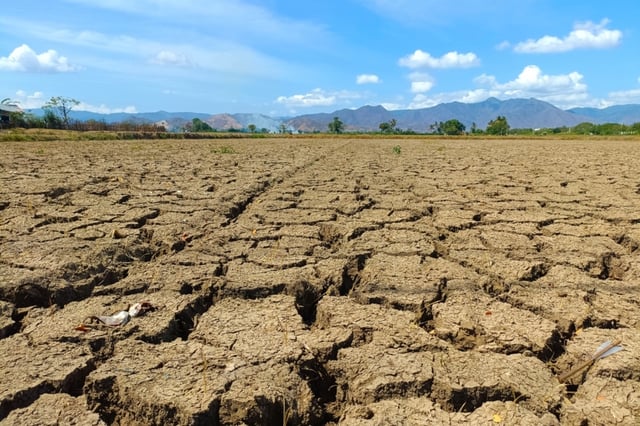 Sequía regresa al este de EEUU tras breve pausa de lluvias con riesgo de incendios forestales
