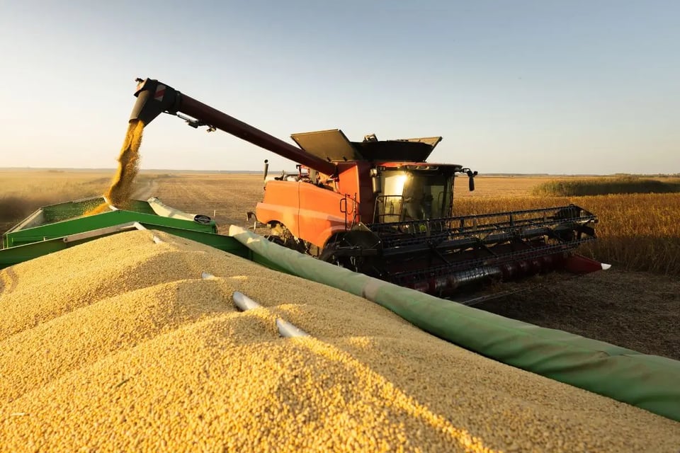 China frena compras de soja afecta a los agricultores de EE. UU.