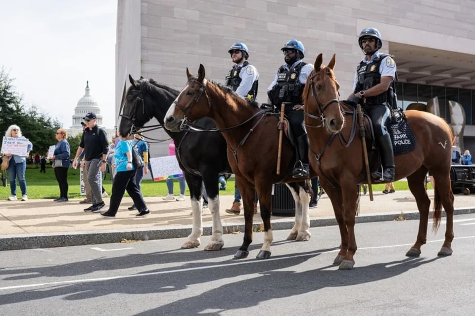 Protestas, Trump, No Kings MundoNOW