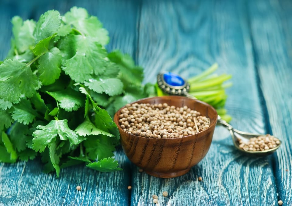 El poder del Cilantro como desintoxicante natural para limpiar tu cuerpo