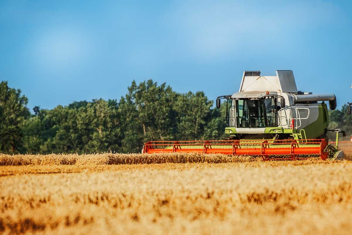 Washington Shutdown Leaves Farmers Without Payments and Loans: What Impact Will It Have on Agricultural Production?