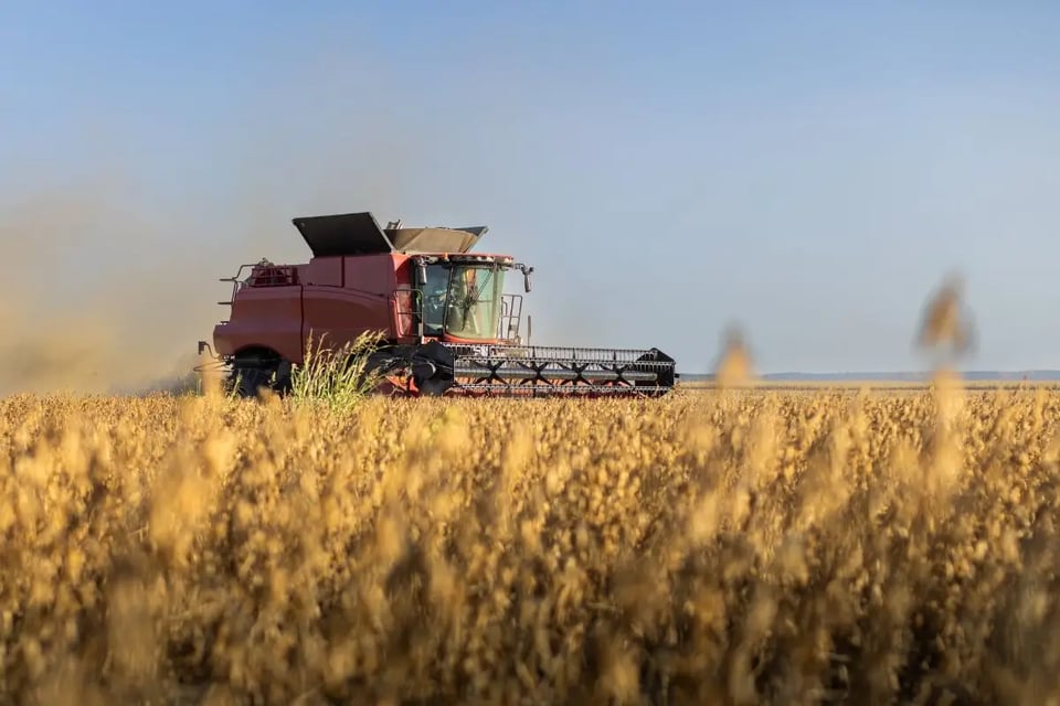 Agricultores dependen de acuerdo EE.UU. – China para no perder cosechas