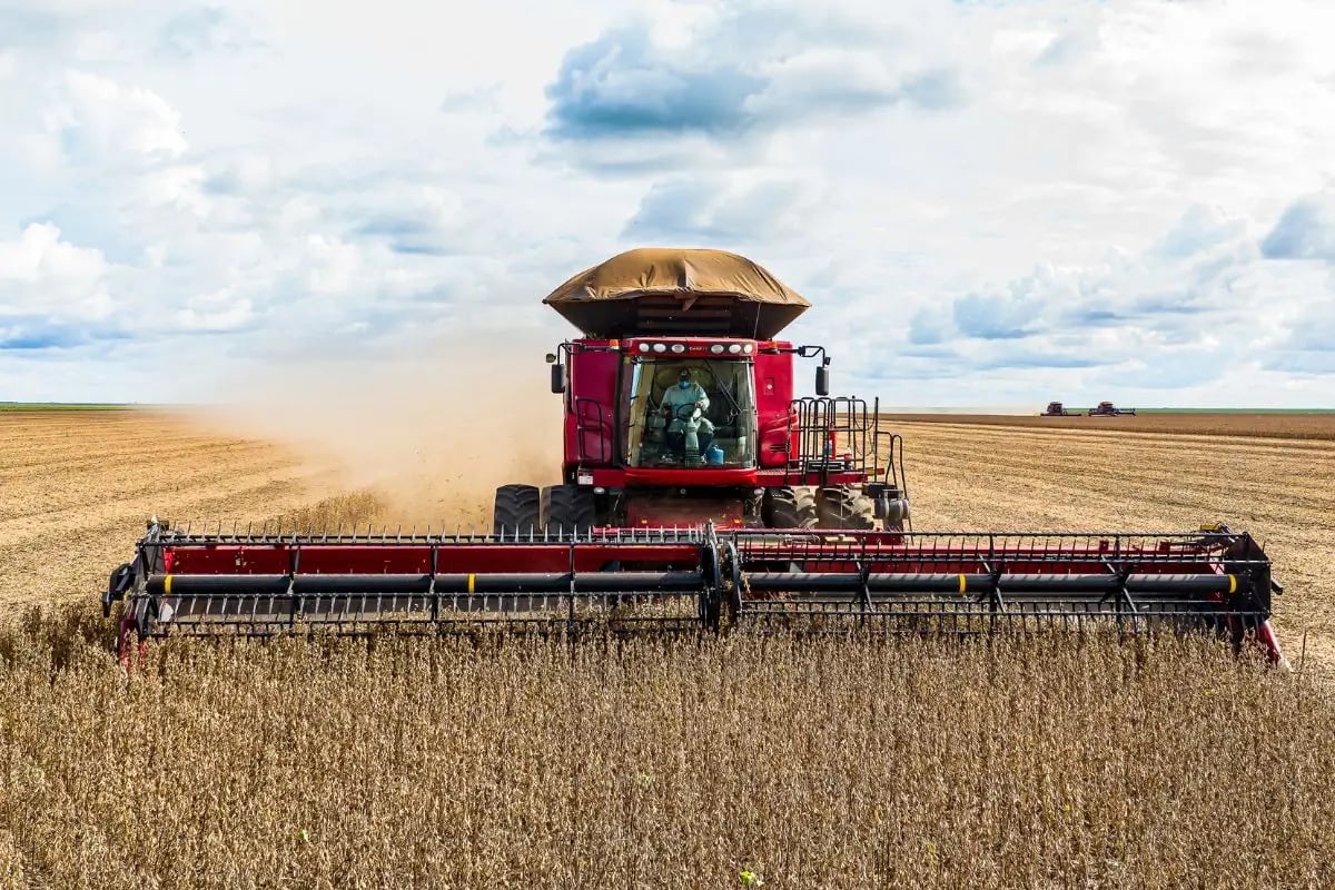 Buenas noticias para trabajadores latinos: Se reactivan programas de ayuda a los agricultores