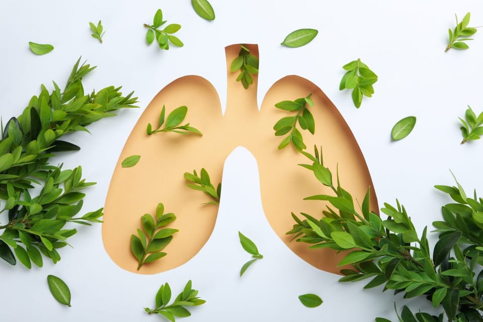¿Quieres reforzar tus pulmones este invierno? Consume estos alimentos! featured image