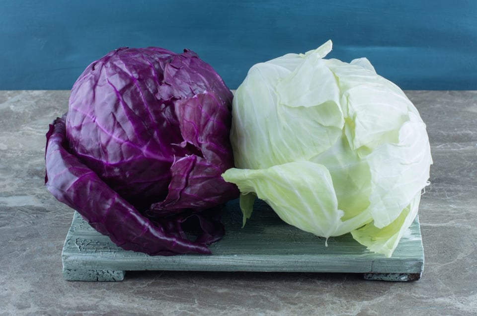 repollo morado, verde, salud, bienestar 