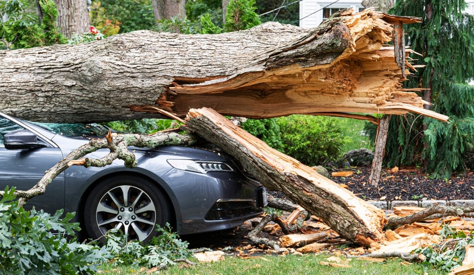Estado de emergencia en Arizona tras devastadora tormenta
