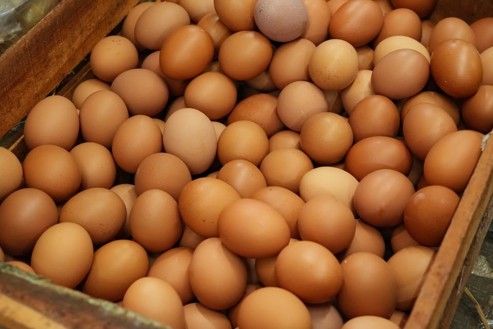 FDA retira huevos del mercado por contaminación