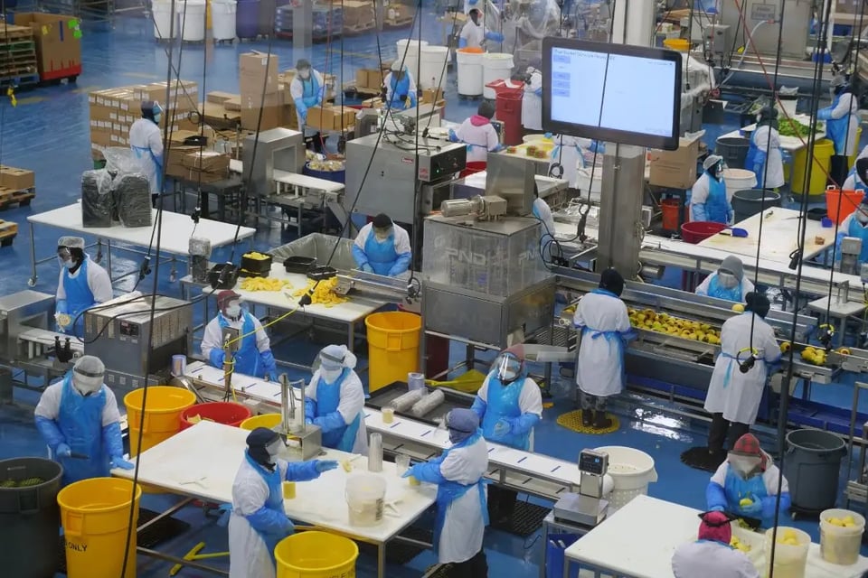 Qué revela el nuevo reporte del Índice de Precios al Productor