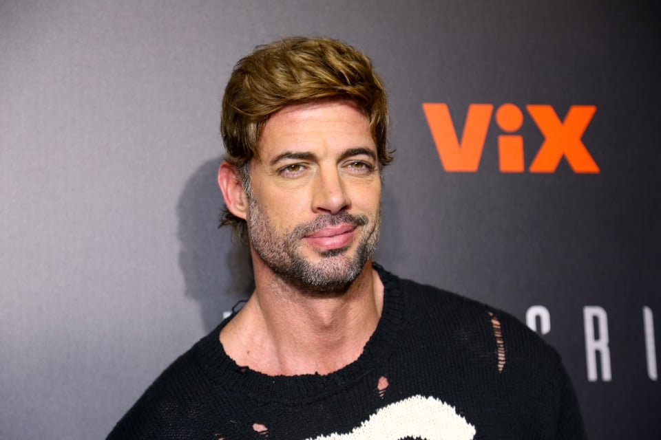 Sale a la luz video del momento en que William Levy fue detenido en Florida