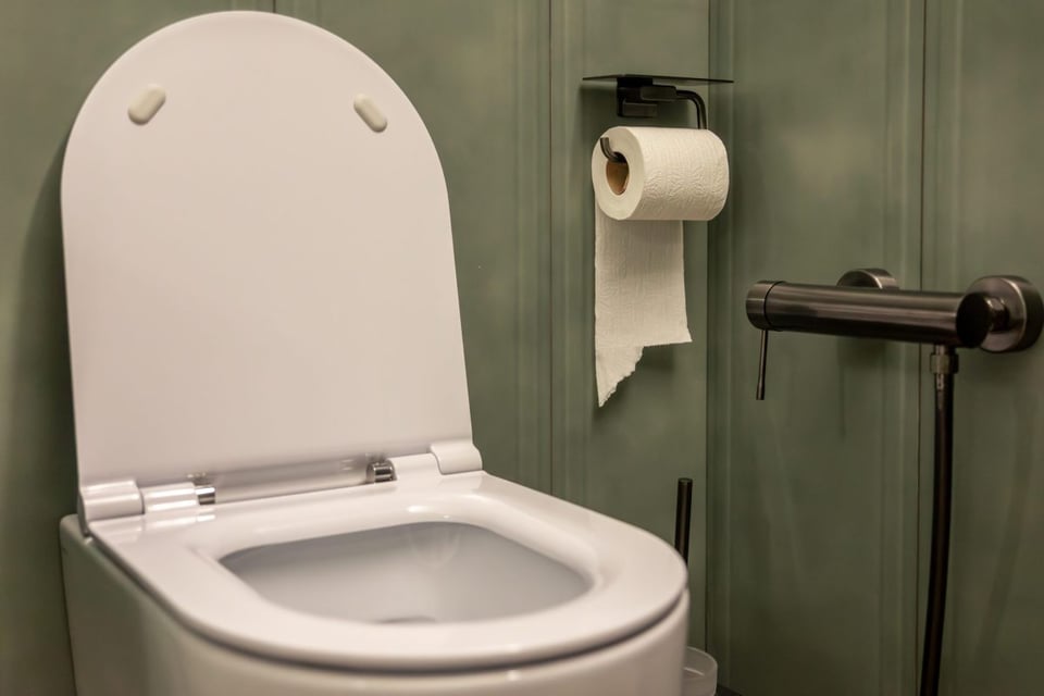 Las 6 enfermedades que podrías contraer en un baño público y cómo protegerte!