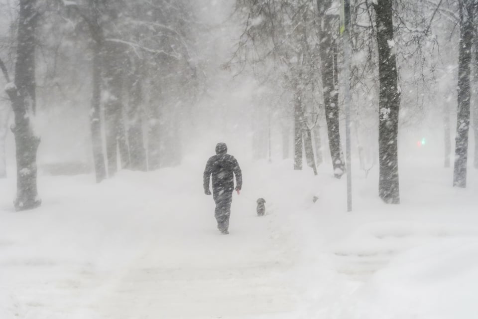 Tormenta invernal, Estados Unidos, nieve MundoNOW, Winter Storm in the United States Threatens Millions of Homes