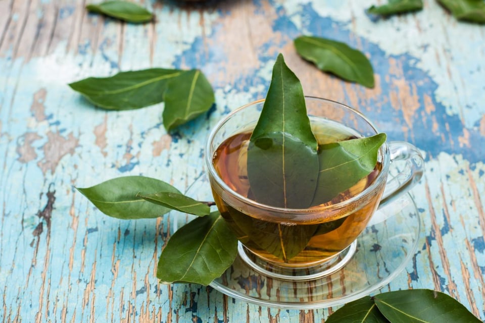 te de laurel, infusion, adelgazar, medidas 