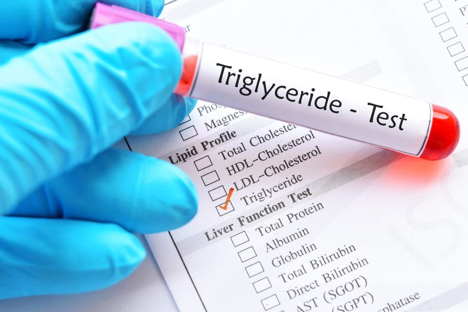 ¿Sabías que los triglicéridos no vienen solo del consumo de grasa? featured image