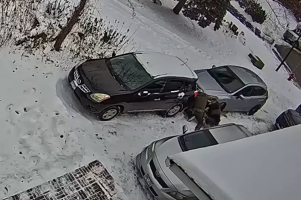 ice