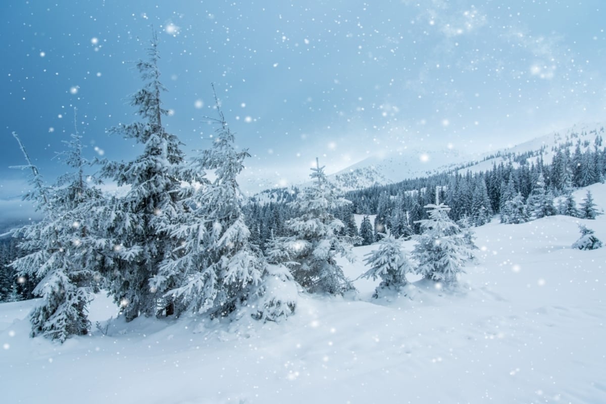 Nieve, hielo y caos vial: una tormenta invernal golpea con fuerza el noreste de Estados Unidos