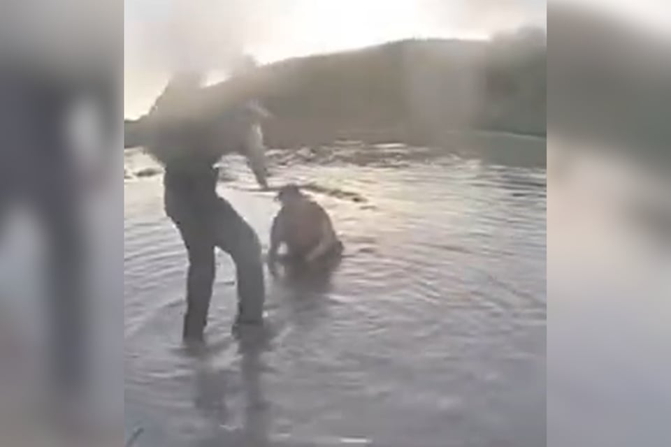 Madre se lanza al río con su bebé para huir de ICE
