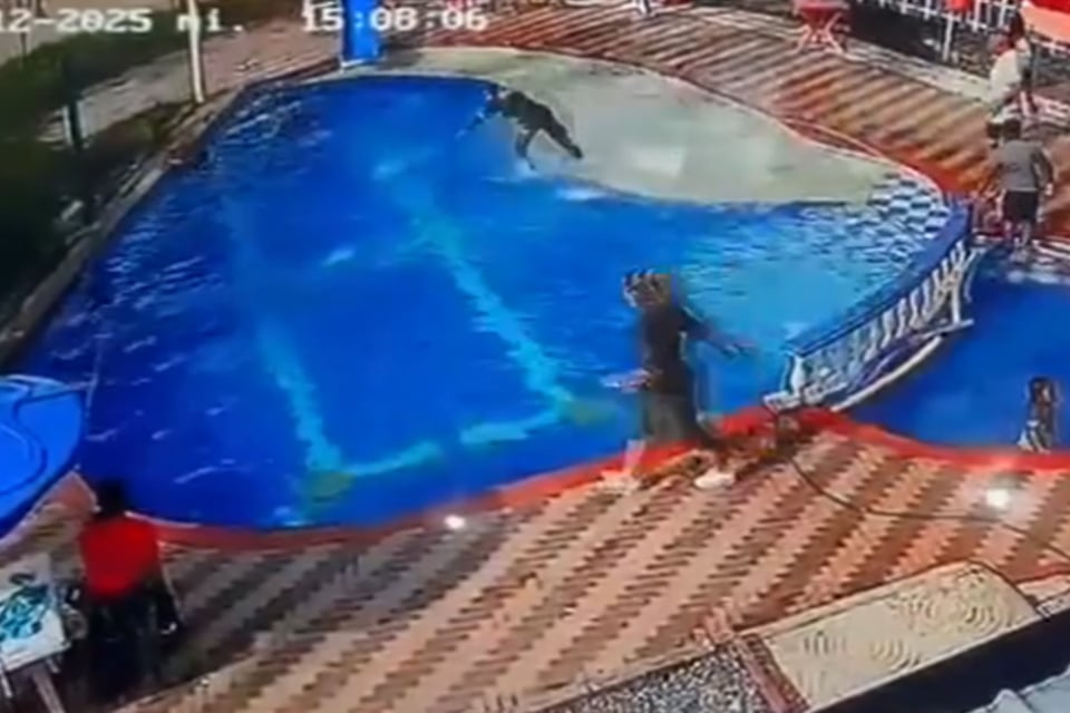 Agente policial se lanza a una piscina y salva a una niña featured image