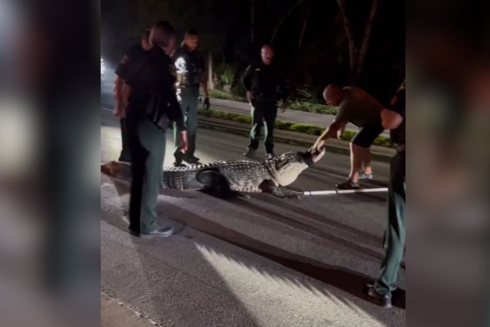 florida